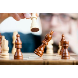 Coluna Carreira & Gestão das Emoções por Marcos R.Marcellino 13.02.2026